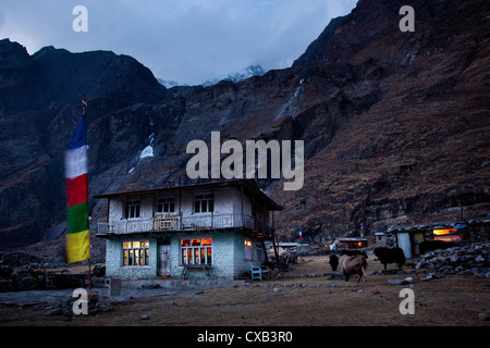 Teahouse lit up at night high in the mountains, Langtang village, Nepal Stock Photo