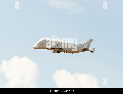 Airbus Transport International Airbus A300-608ST Beluga Super Transporter Aircraft F-GSTF Departing Toulouse Blagnac France Stock Photo