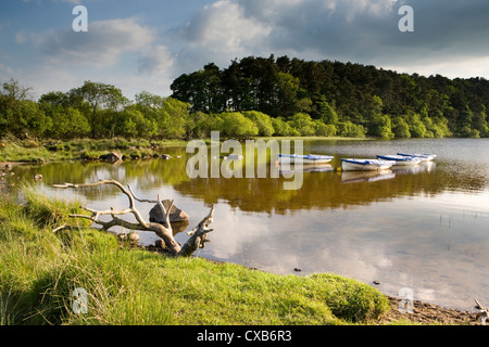 Rowing boats moored on Crag Lough which sits on the Hadrian's Wall Path in Northumberland National Park, England Stock Photo