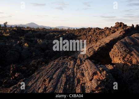 Pressure ridge in streaked surface of pahoehoe lava, Craters of the ...
