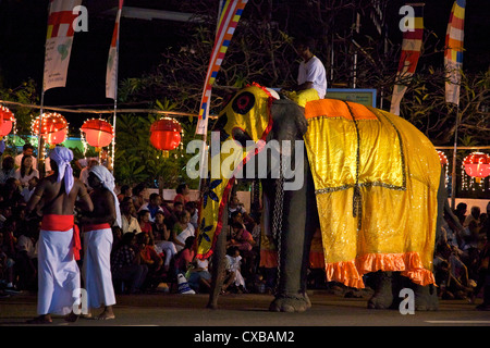 Ceremonial elephant in the Navam Maha Perahera, Colombo, Sri Lanka, Asia Stock Photo