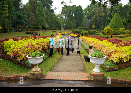 Visitors in the Royal Botanical Garden, Peradeniya, Kandy, Sri Lanka, Asia Stock Photo