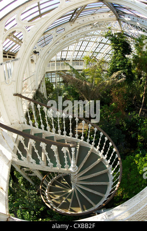 Spiral staircase in the Temperate House, Royal Botanic Gardens, Kew, UNESCO World Heritage Site, London, England, United Kingdom Stock Photo