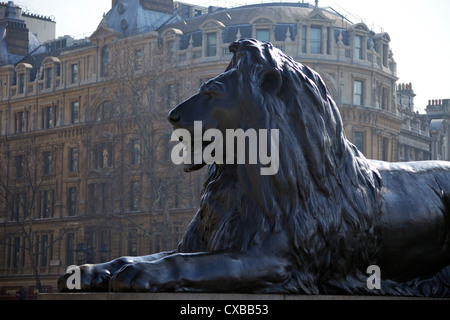 Bronze lion statue by Sir Edwin Landseer, Trafalgar Square, London, England, United Kingdom, Europe Stock Photo