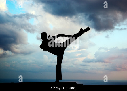 Kung fu at the edge. Element of design. Stock Photo