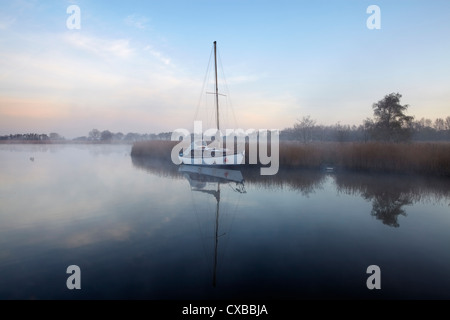 A misty morning in the Norfolk Broads at Horsey Mere, Norfolk, England, United Kingdom, Europe Stock Photo