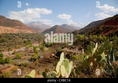 Snow capped High Atlas Mountain Range, Morocco, North Africa, Africa Stock Photo