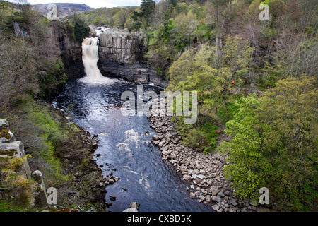 High Force in Upper Teesdale, County Durham, England, United Kingdom, Europe Stock Photo