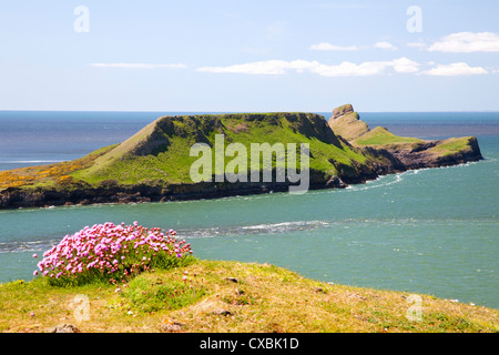 Worms Head, Rhossili Bay, Gower Peninsula, Wales, United Kingdom, Europe Stock Photo