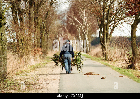 Man with wheelbarrow filled with branches on a country road, northern Germany Stock Photo
