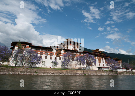 View of the Dzong in Punakha, Bhutan, Asia Stock Photo