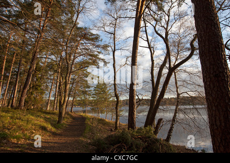 Kottlasjön, Kottla lake, Lidingö (Sweden) Stock Photo