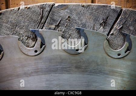 Portion of a Circular steel lumber saw blade mounded on wood Stock Photo
