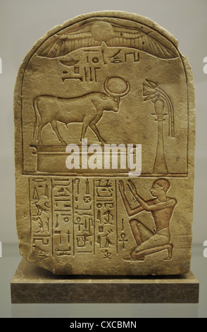 Stele dedicated to bull Mnevis by laundryman Ipi. Limestone. 19th Dynasty. New Kingdom. Probably from Heliopolis. Stock Photo