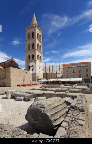 The bell tower of St. Anastasia cathedral, Zadar, Croatia. Stock Photo