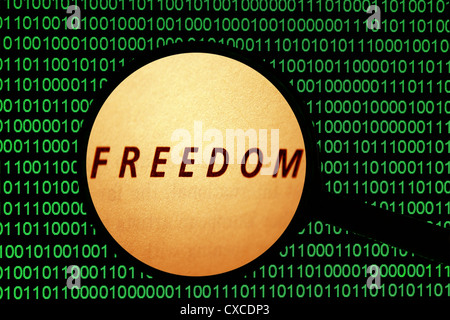 Freedom text with data background Stock Photo