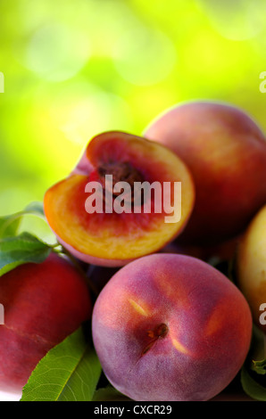 Ripe peaches on green background Stock Photo