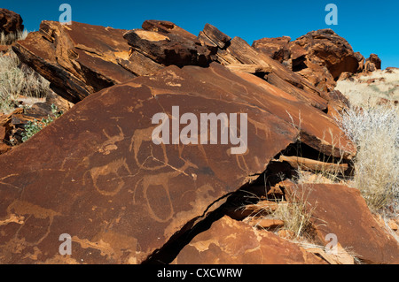 Rock engravings, Huab River Valley, Torra Conservancy, Damaraland, Namibia, Africa Stock Photo