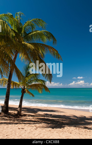 La Perle Beach, Deshaies, Basse-Terre, Guadeloupe, French Caribbean, France, West Indies, Central America Stock Photo
