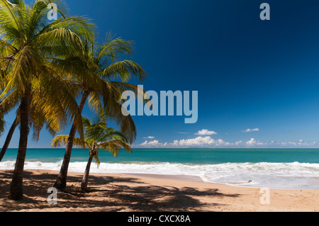 La Perle Beach, Deshaies, Basse-Terre, Guadeloupe, French Caribbean, France, West Indies, Central America Stock Photo