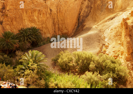 View of the welcome message on the mountain of Chebika oasis in Tunisia Stock Photo