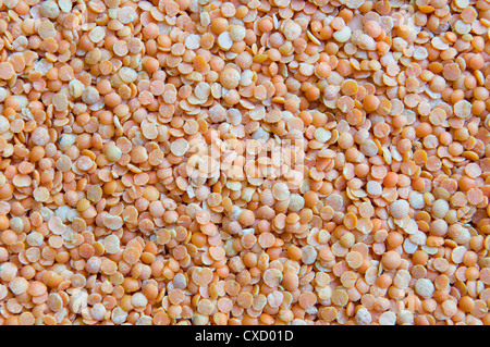 Full frame image of dried red lentils Stock Photo