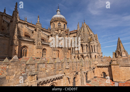 Old Cathedral panoramic roof view with gothic style architecture, Salamanca, monumental city, Spain Stock Photo