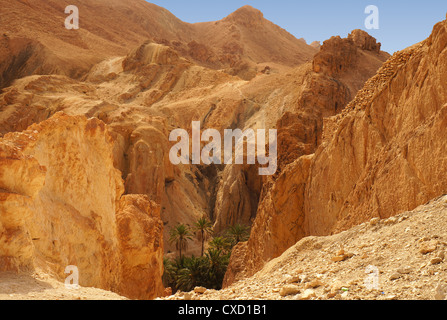 Panoramic view of the Chebika oasis in the desert of Tunisia Stock Photo