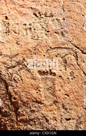 Rock engravings close to Twyfelfontein Lodge, Twyfelfontein, Damaraland, Kunene Region, Namibia, Africa Stock Photo