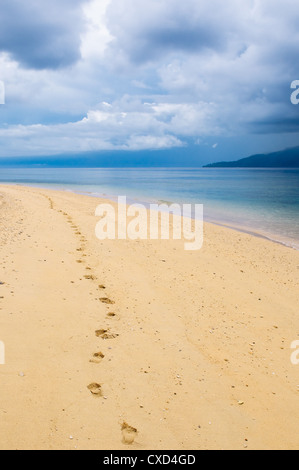 footprints in a tropical beach Stock Photo