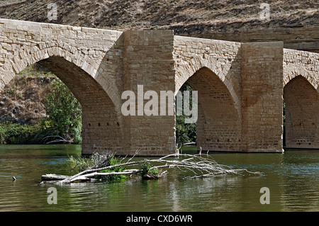 Old medieval Gothic Briñas bridge in the village of Haro, La Rioja, Spain, Europe Stock Photo