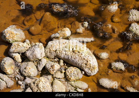 acidic crystals on stones in rio (river) Tinto, Huelva, Spain Stock Photo