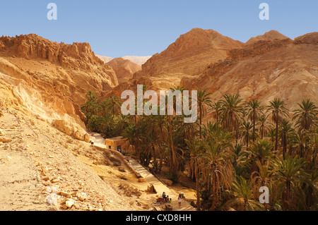 Panoramic view of the Chebika oasis in the desert of Tunisia Stock Photo