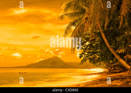 tropical beach, banda islands, indonesia Stock Photo