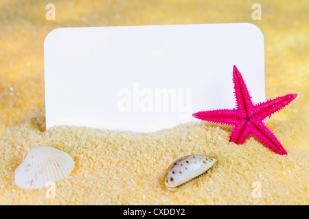 Seashells and starfish on sand picture frame Stock Photo