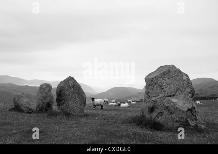 Sheep at the Castlerigg stone circle Stock Photo