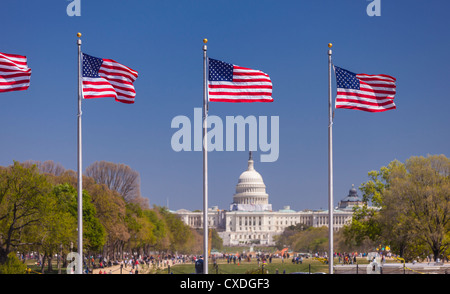 WASHINGTON, DC, USA - USA flags and United States Capitol building on the National Mall. Stock Photo