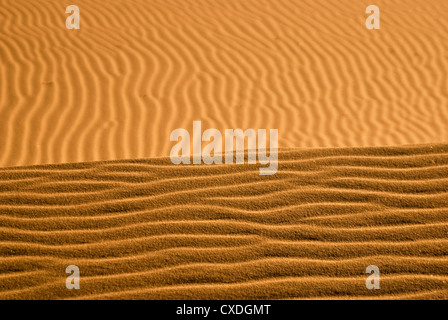 Sand in Kelso Dunes forms a golden horizon Stock Photo