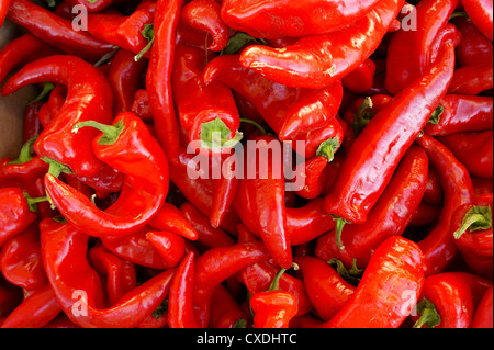 Red chili peppers at a Commercial Street market, Vancouver, BC, Canada Stock Photo