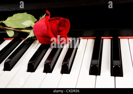 A single beautiful red rose lying on top of a piano keyboard Stock Photo