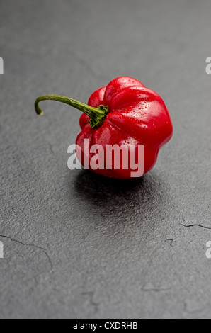 red habanero on slate plate Stock Photo