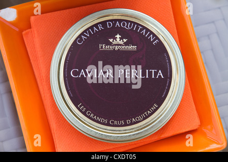 Caviar tin box displayed Stock Photo