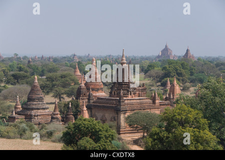 Small temples near the Shwesandaw Paya in foreground, Bagan (Pagan), Myanmar (Burma), Asia Stock Photo