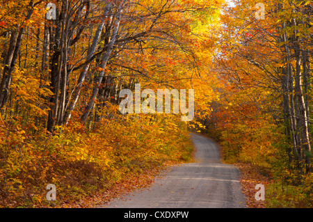 Fall colours, Baxter State Park, Maine, New England, United States of America, North America Stock Photo