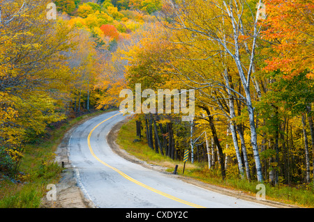 Grafton Notch State Park, Maine, New England, United States of America, North America Stock Photo