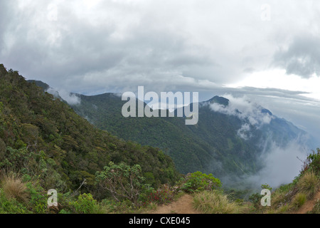 Mini World's End, Horton Plains National Park, Sri Lanka, Asia Stock Photo