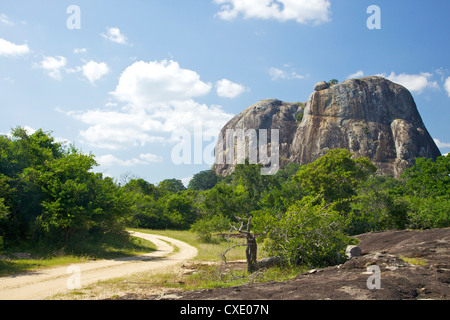 Elephant Rock from forest track, Yala National Park, Sri Lanka, Asia Stock Photo