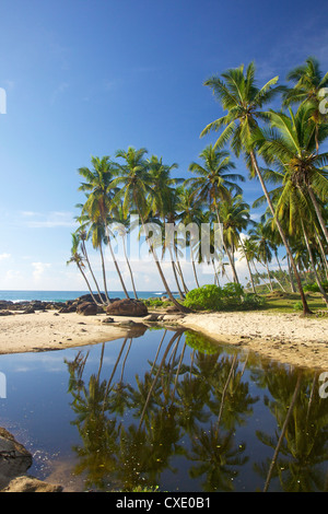 View of the unspoilt beach at Palm Paradise Cabanas, Tangalle, South coast, Sri Lanka, Asia Stock Photo