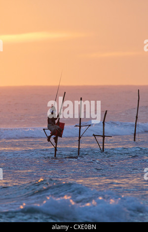 Stilt fisherman at Weligama, South Coast, Sri Lanka, Asia Stock Photo