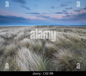 Holme Dunes Nature Reserve, Norfolk, England, UK Stock Photo - Alamy